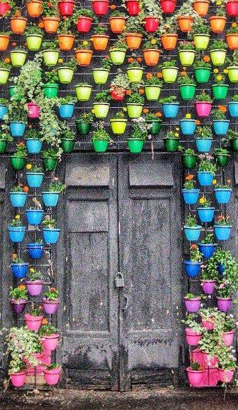 colorful pots with plants on wall